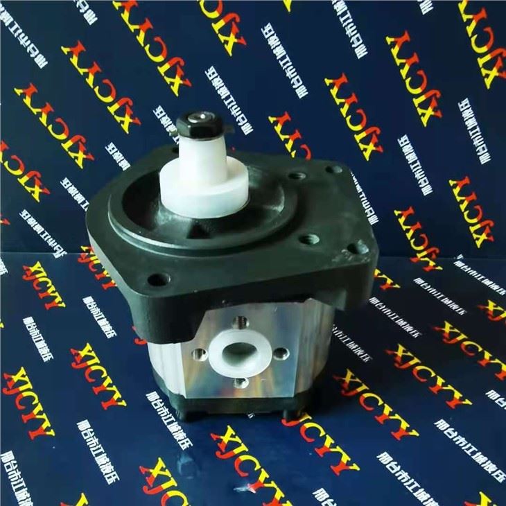 Case Tractor Pump 704330R95
